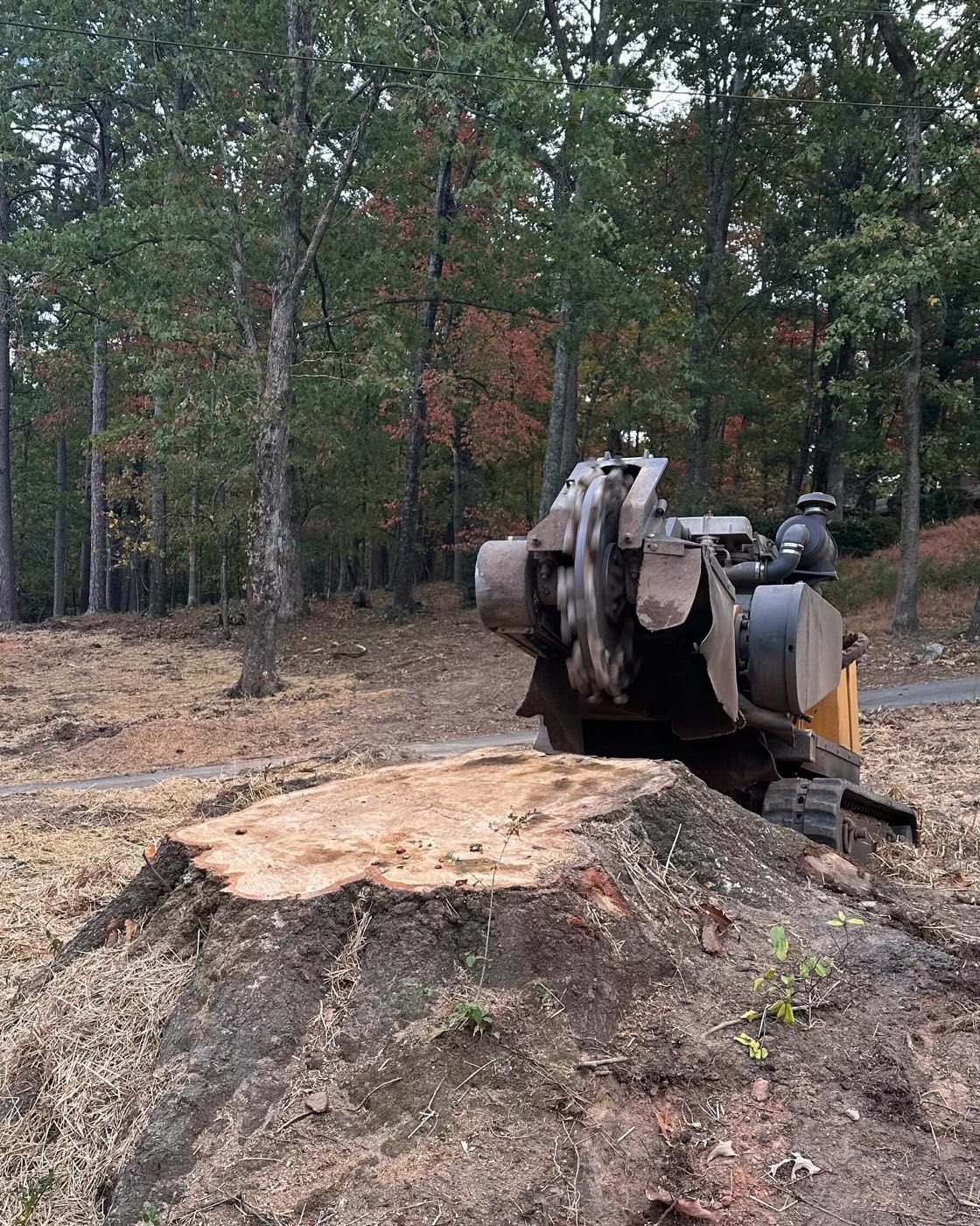 Stump grinder working a freshly cut stump at the edge of a wooded lot