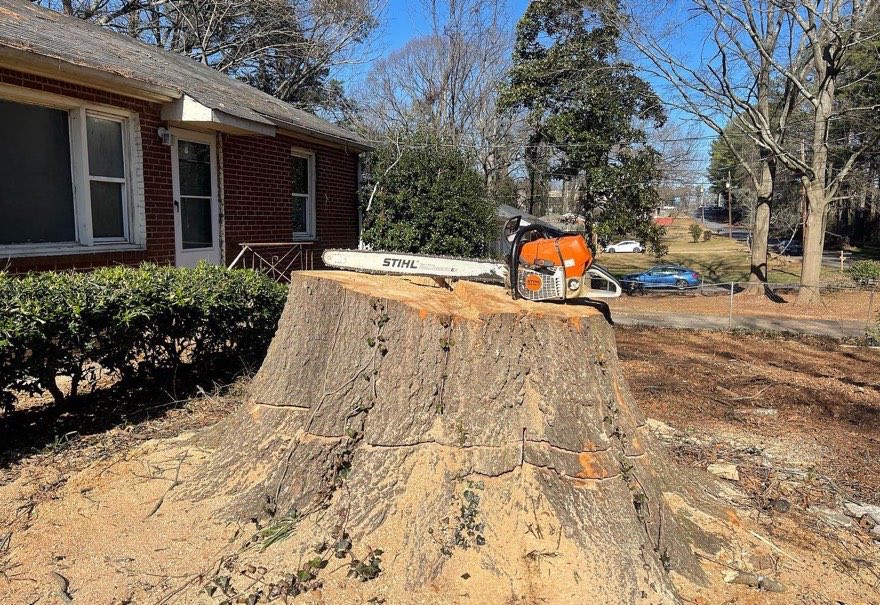 Huge front-yard stump, house intact — J&K stump grinding job photo